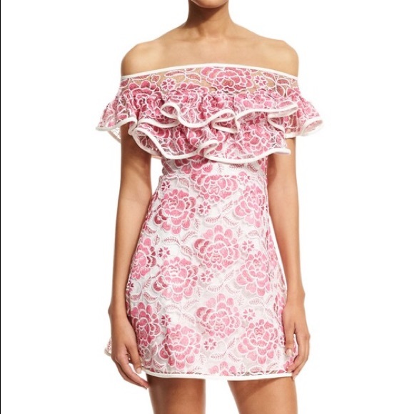 Alexis Dresses & Skirts - Alexis Paula embroidered lace dress